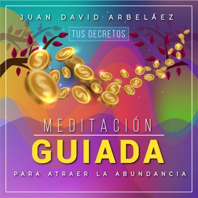 Meditación Guiada para Atraer la Abundancia: Tus Decretos Audiobook, by Juan David Arbelaez