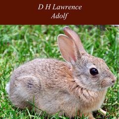 Adolf Audiobook, by D. H. Lawrence
