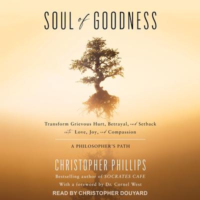 Soul of Goodness: Transform Grievous Hurt, Betrayal, and Setback into Love, Joy, and Compassion Audiobook, by Christopher Phillips
