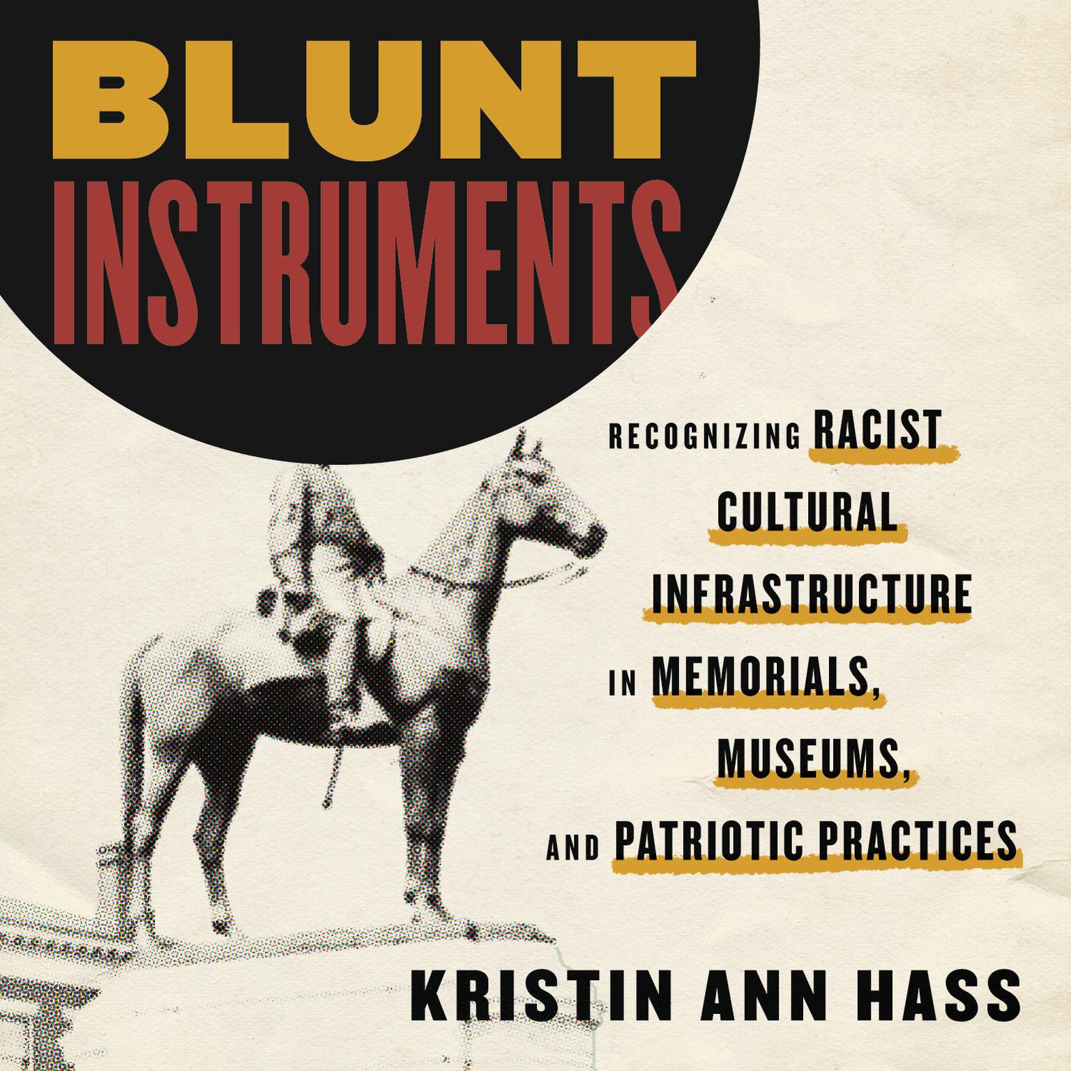 Blunt Instruments: Recognizing Racist Cultural Infrastructure in Memorials, Museums, and Patriotic Practices Audiobook, by Kristin Ann Hass