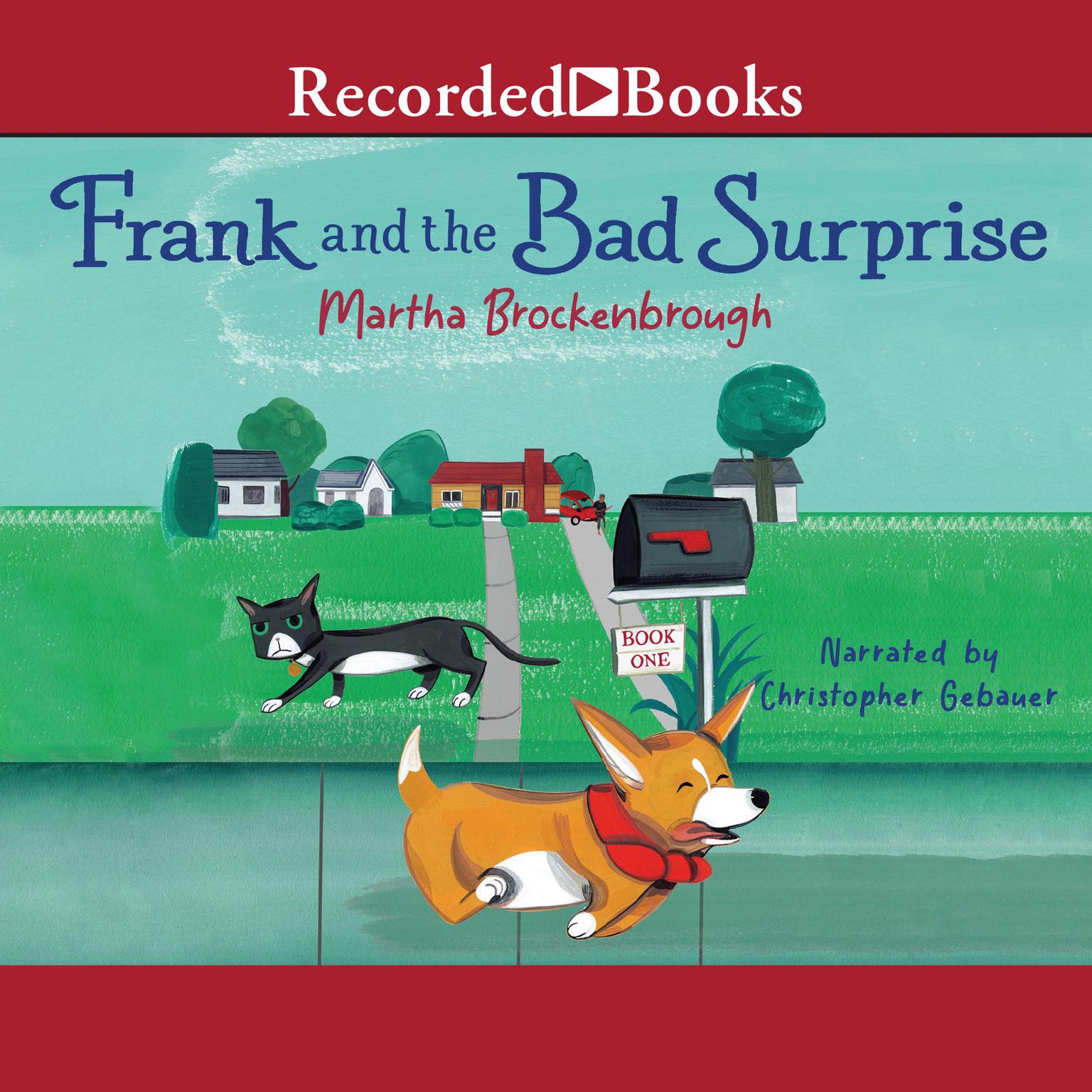 Frank and the Bad Surprise Audiobook, by Martha Brockenbrough