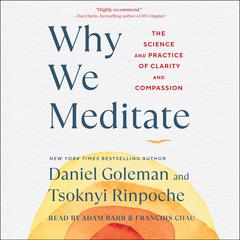 Why We Meditate: The Science and Practice of Clarity and Compassion Audiobook, by Daniel Goleman
