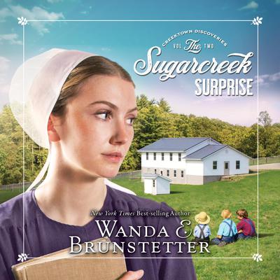Sugarcreek Surprise Audiobook, by 