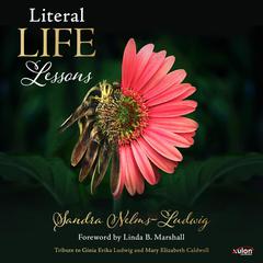 Literal Life Lessons Audiobook, by Sandra Nelms-Ludwig