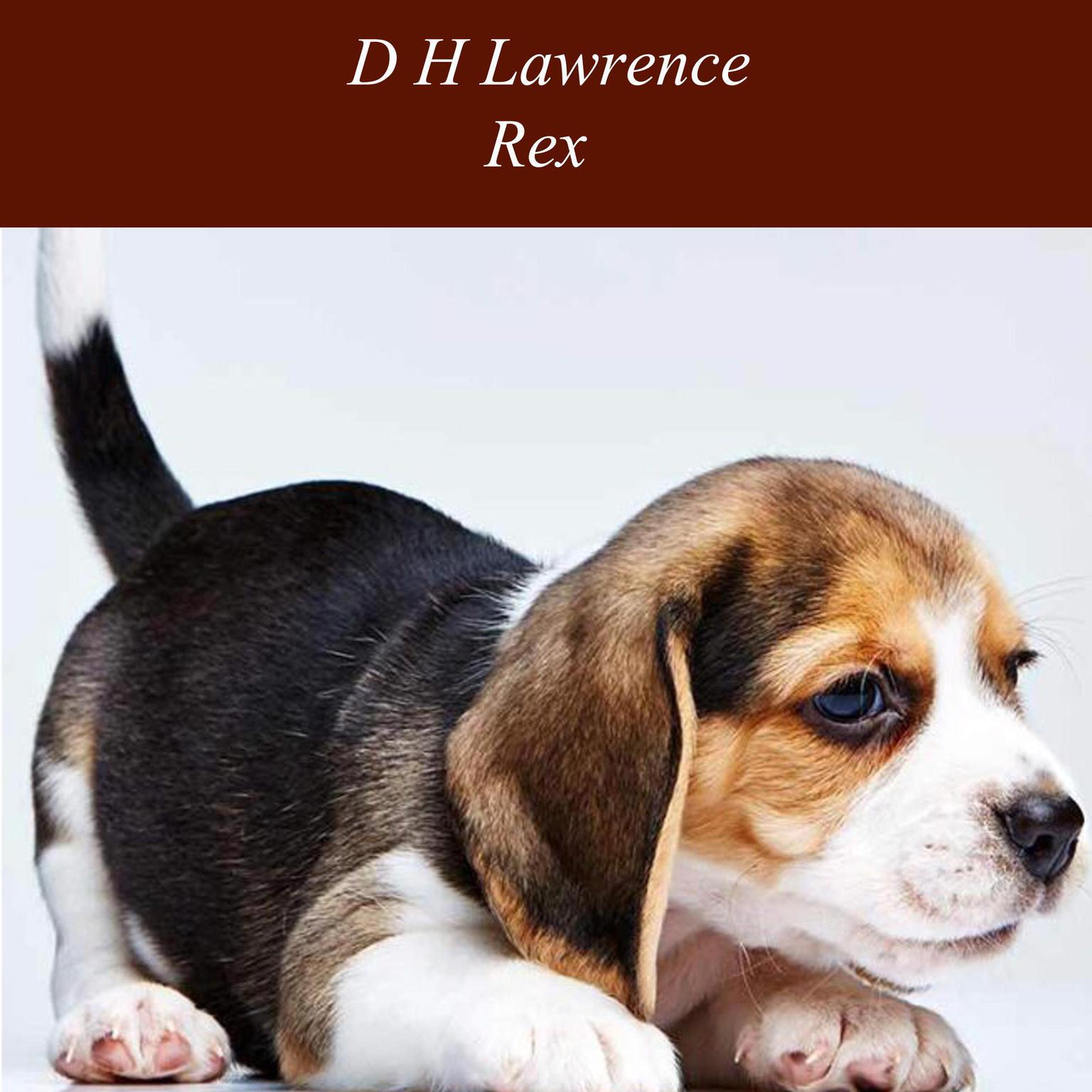 Rex Audiobook, by D. H. Lawrence