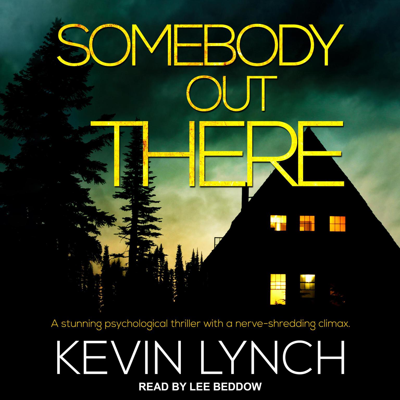 Somebody Out There Audiobook, by Kevin Lynch