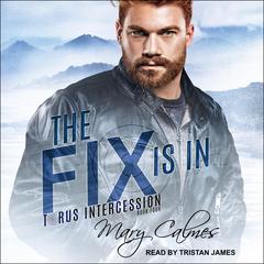 The Fix Is In Audiobook, by Mary Calmes