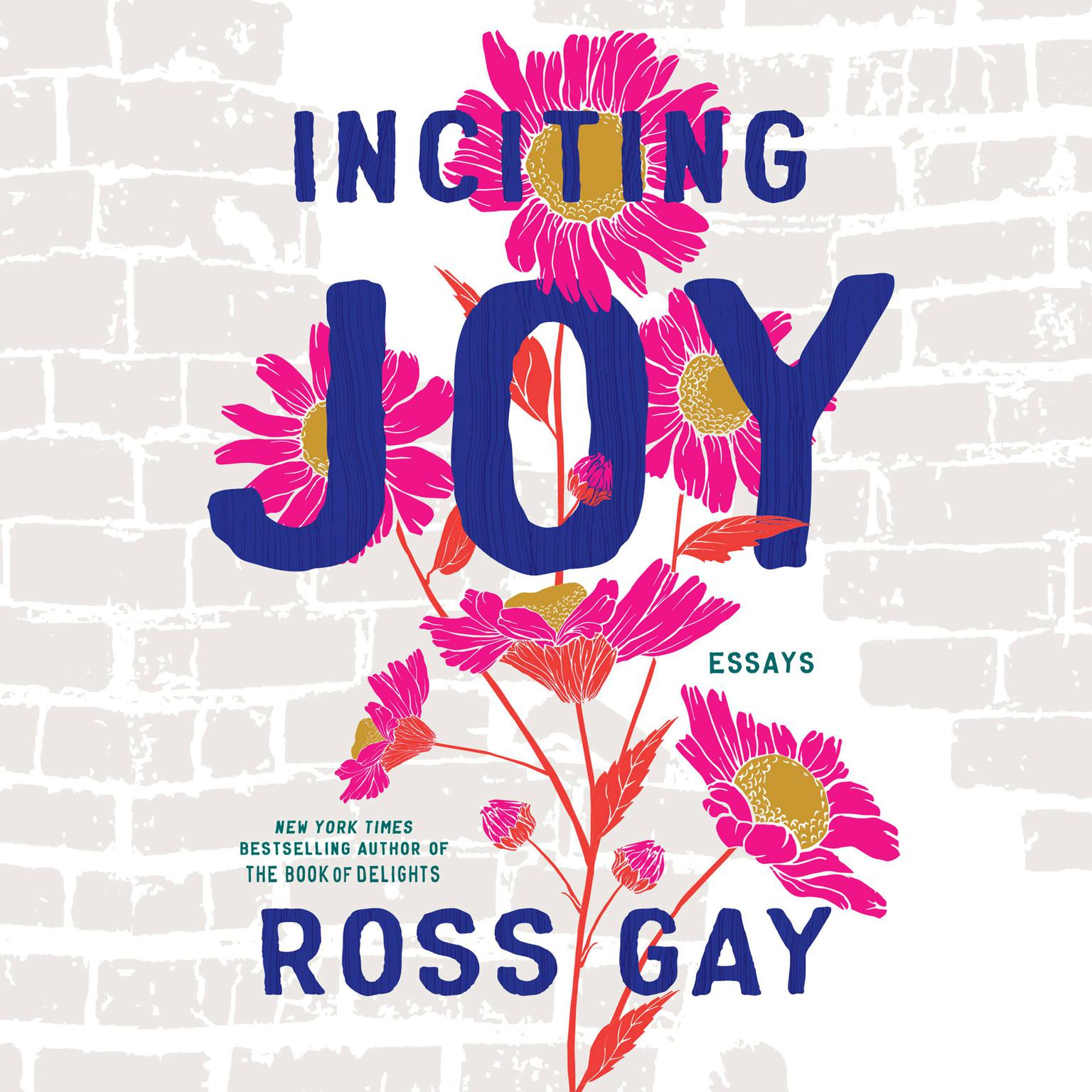 Inciting Joy: Essays Audiobook, by Ross Gay