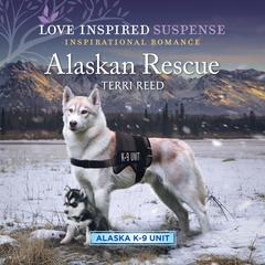 Alaskan Rescue Audiobook, by Terri Reed