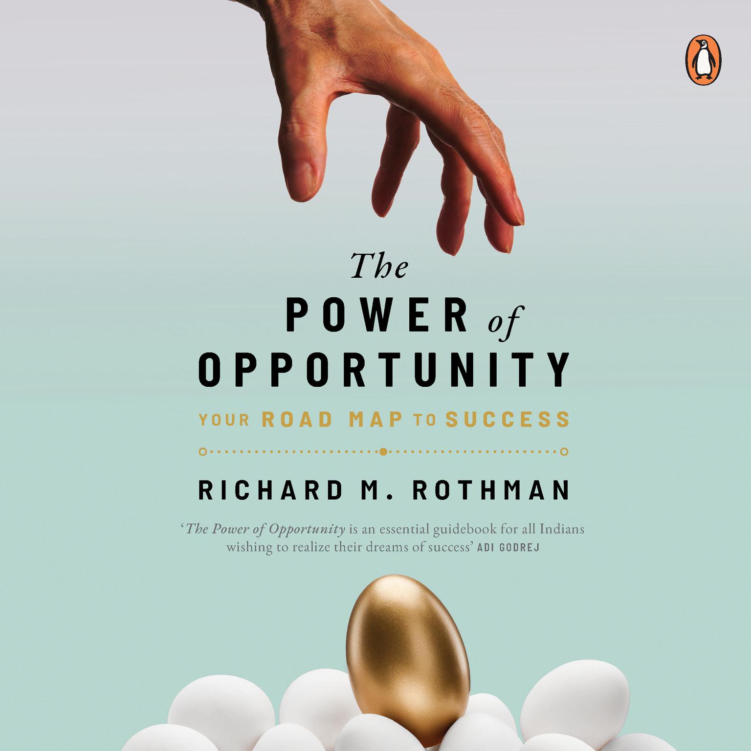 The Power of Opportunity: Your Roadmap to Success Audiobook, by Richard Rothman