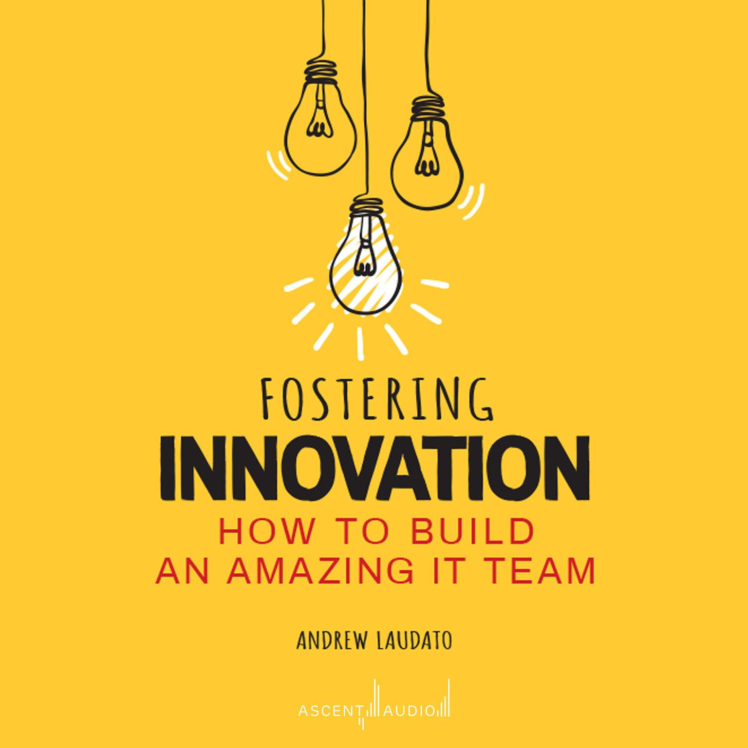 Fostering Innovation: How to Build an Amazing It Team Audiobook, by Andrew Laudato