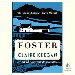 Foster Audiobook, by 