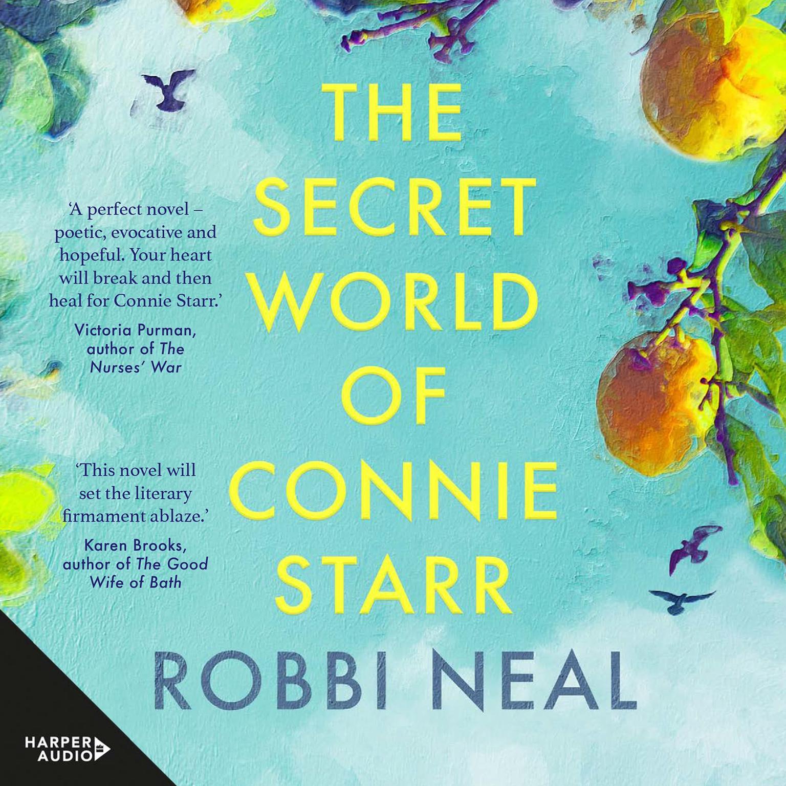 The Secret World of Connie Starr Audiobook, by Robbi Neal