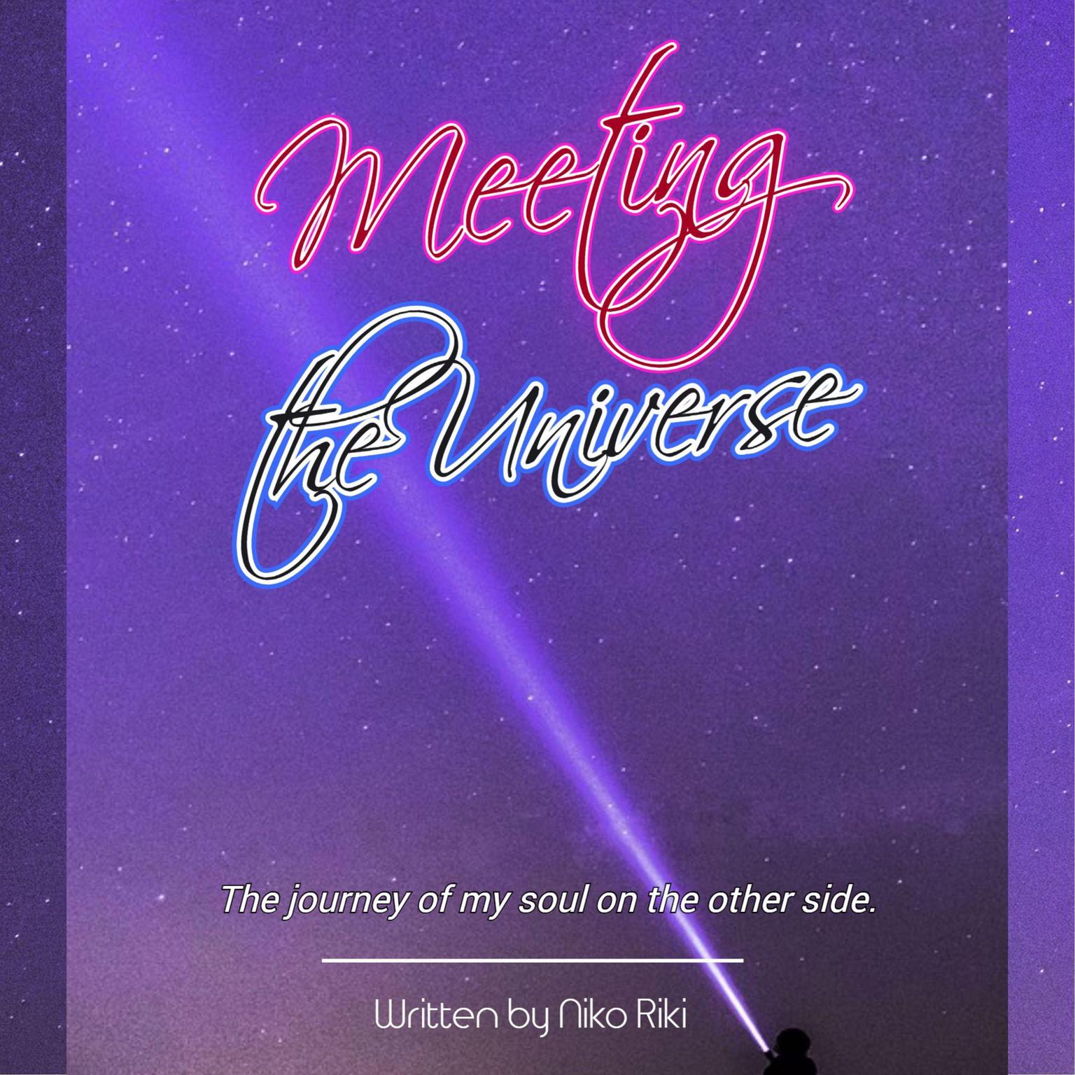 Meeting the Universe: The journey of my soul Audiobook, by Niko Riki