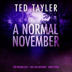 A Normal November Audiobook, by Ted Tayler