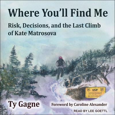 Where Youll Find Me: Risk, Decisions, and the Last Climb of Kate Matrosova Audiobook, by Ty Gagne