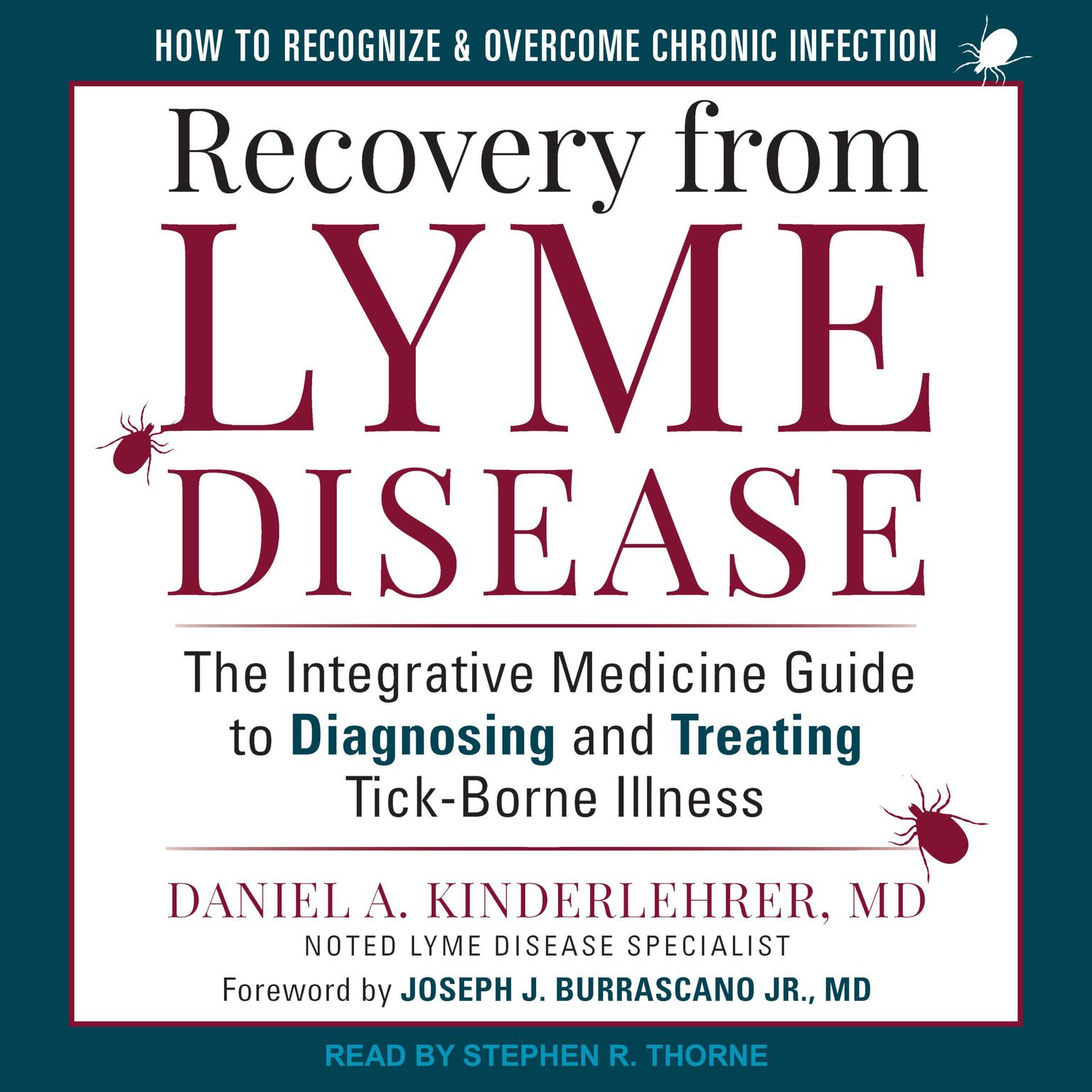 Recovery from Lyme Disease: The Integrative Medicine Guide to Diagnosing and Treating Tick-Borne Illness Audiobook, by Daniel A. Kinderlehrer