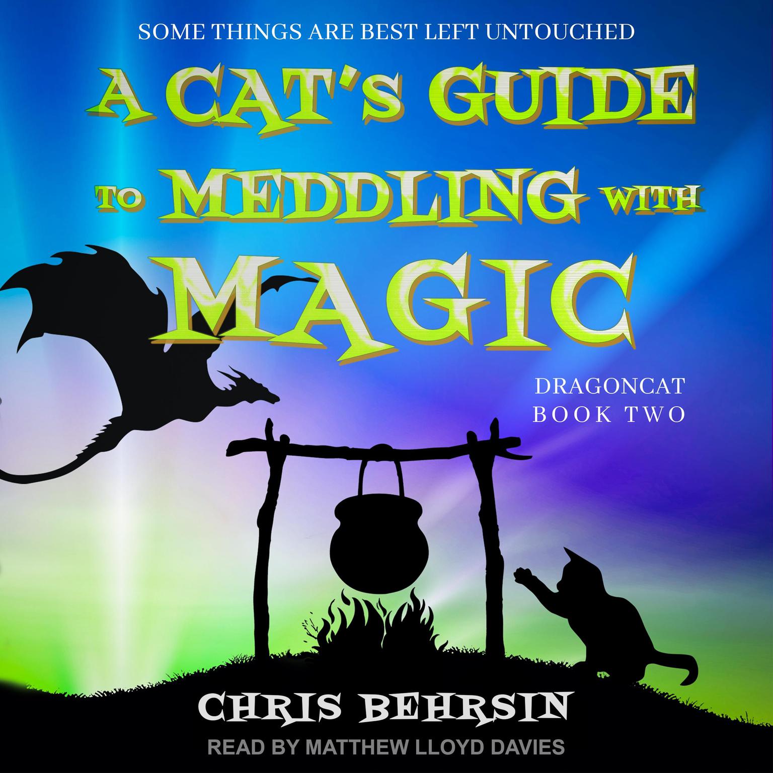 A Cats Guide to Meddling with Magic Audiobook, by Chris Behrsin