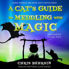 A Cat's Guide to Meddling with Magic Audiobook, by Chris Behrsin
