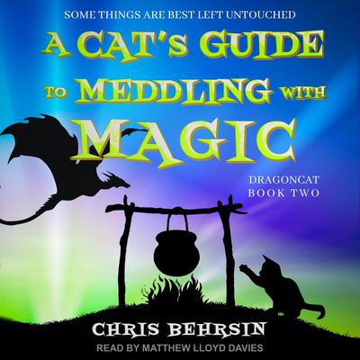 A Cats Guide to Meddling with Magic Audiobook, by Chris Behrsin
