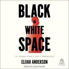 Black in White Space: The Enduring Impact of Color in Everyday Life Audiobook, by Elijah Anderson