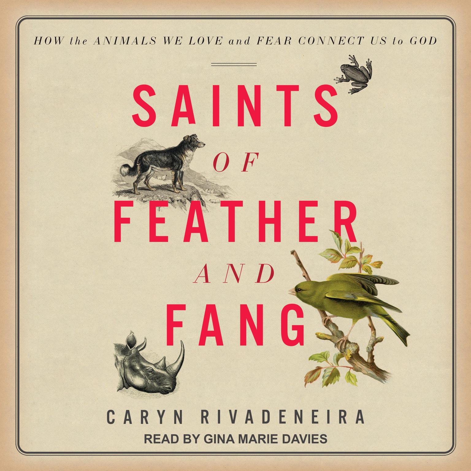 Saints of Feather and Fang: How the Animals We Love and Fear Connect Us to God Audiobook, by Caryn Rivadeneira