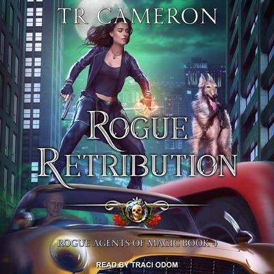 Rogue Retribution Audiobook, by Michael Anderle