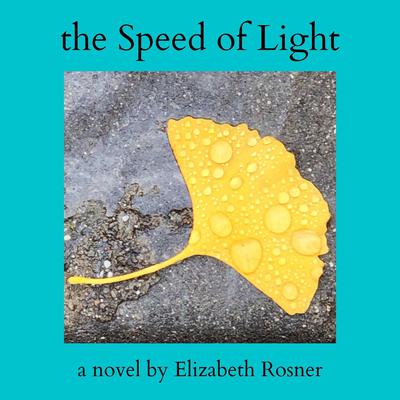 The Speed of Light: A Novel Audiobook, by Elizabeth Rosner