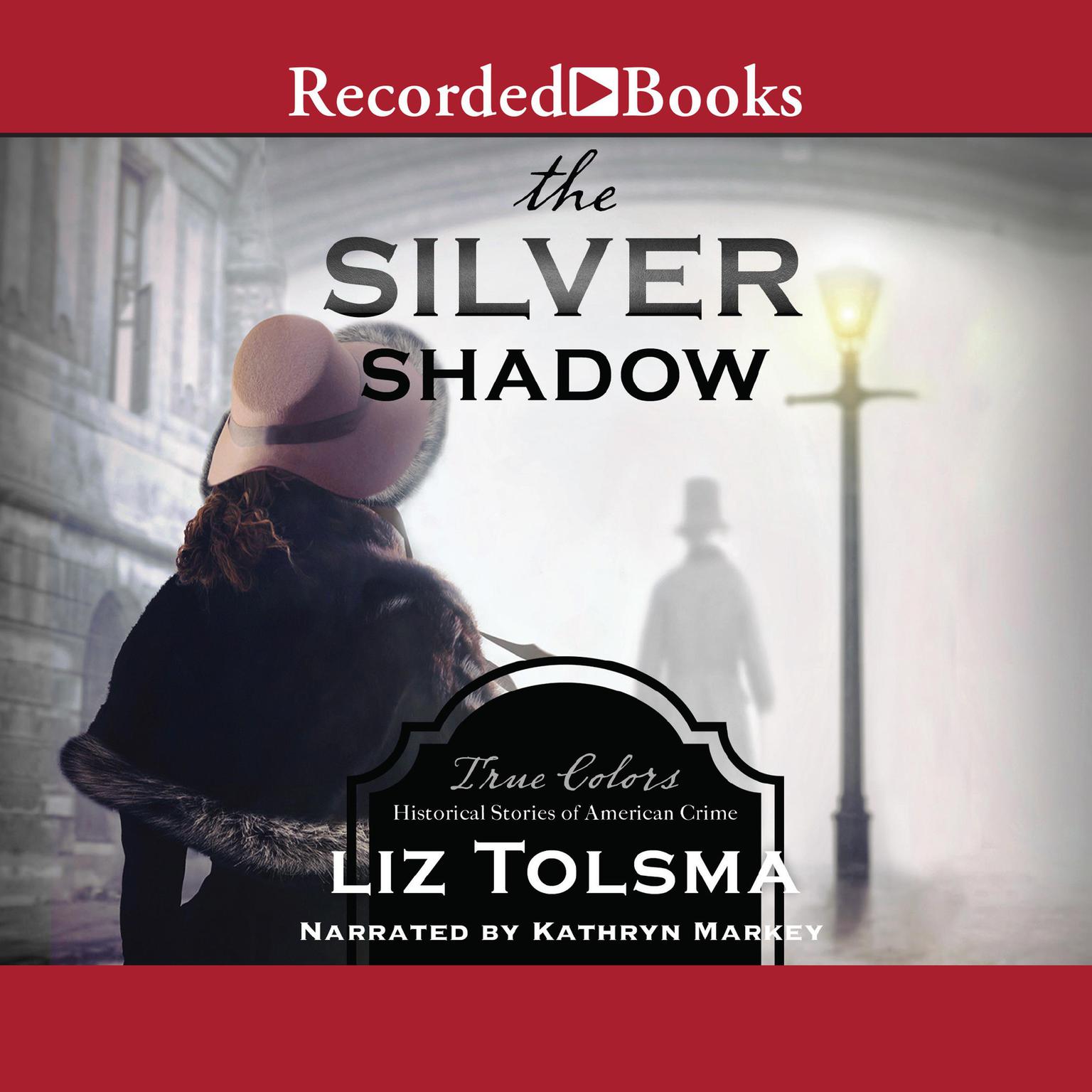 The Silver Shadow Audiobook, by Liz Tolsma
