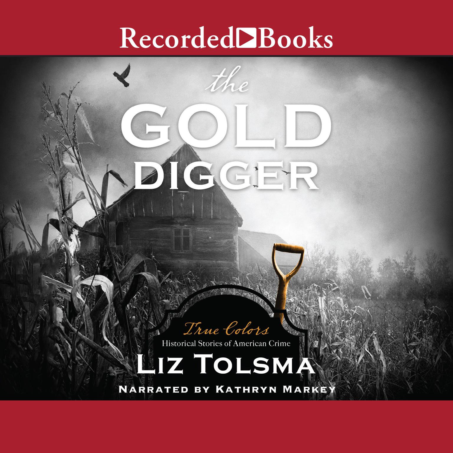 The Gold Digger Audiobook, by Liz Tolsma