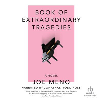 Book of Extraordinary Tragedies Audiobook, by Joe Meno
