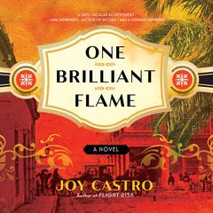 One Brilliant Flame: A Novel Audiobook, by Joy Castro
