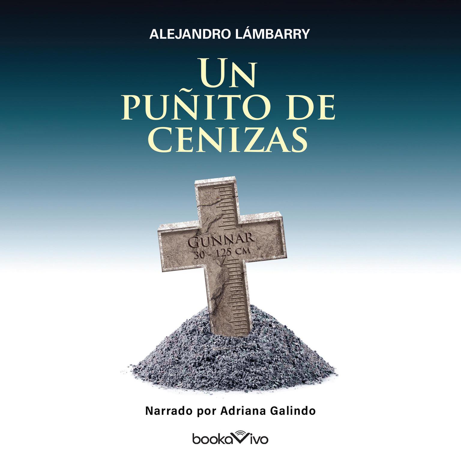 Un puñito de cenizas Audiobook, by Alejandro Lambarry
