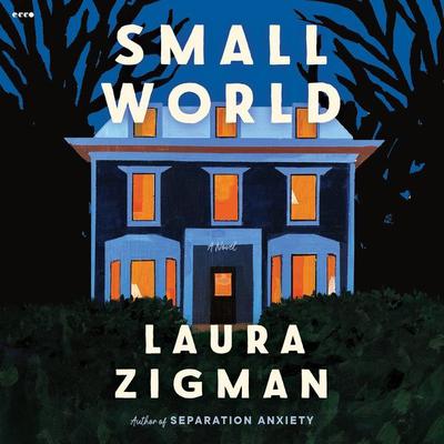 Small World: A Novel Audiobook, by Laura Zigman