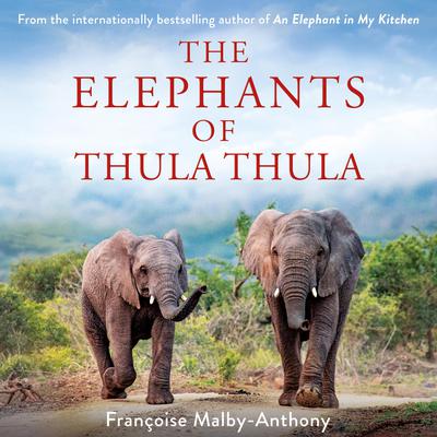 The Elephants of Thula Thula Audiobook, by Françoise Malby-Anthony