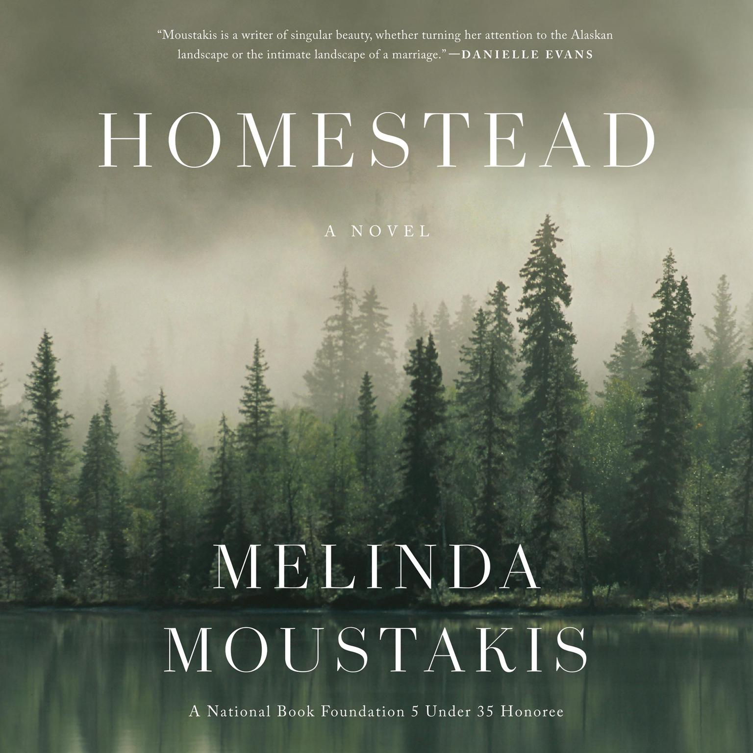Homestead: A Novel Audiobook, by Melinda Moustakis