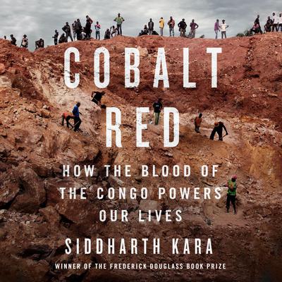 Cobalt Red: How the Blood of the Congo Powers Our Lives Audiobook, by 