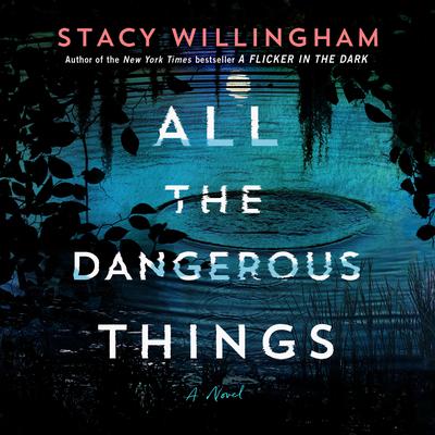 All the Dangerous Things Audiobook, by Stacy Willingham