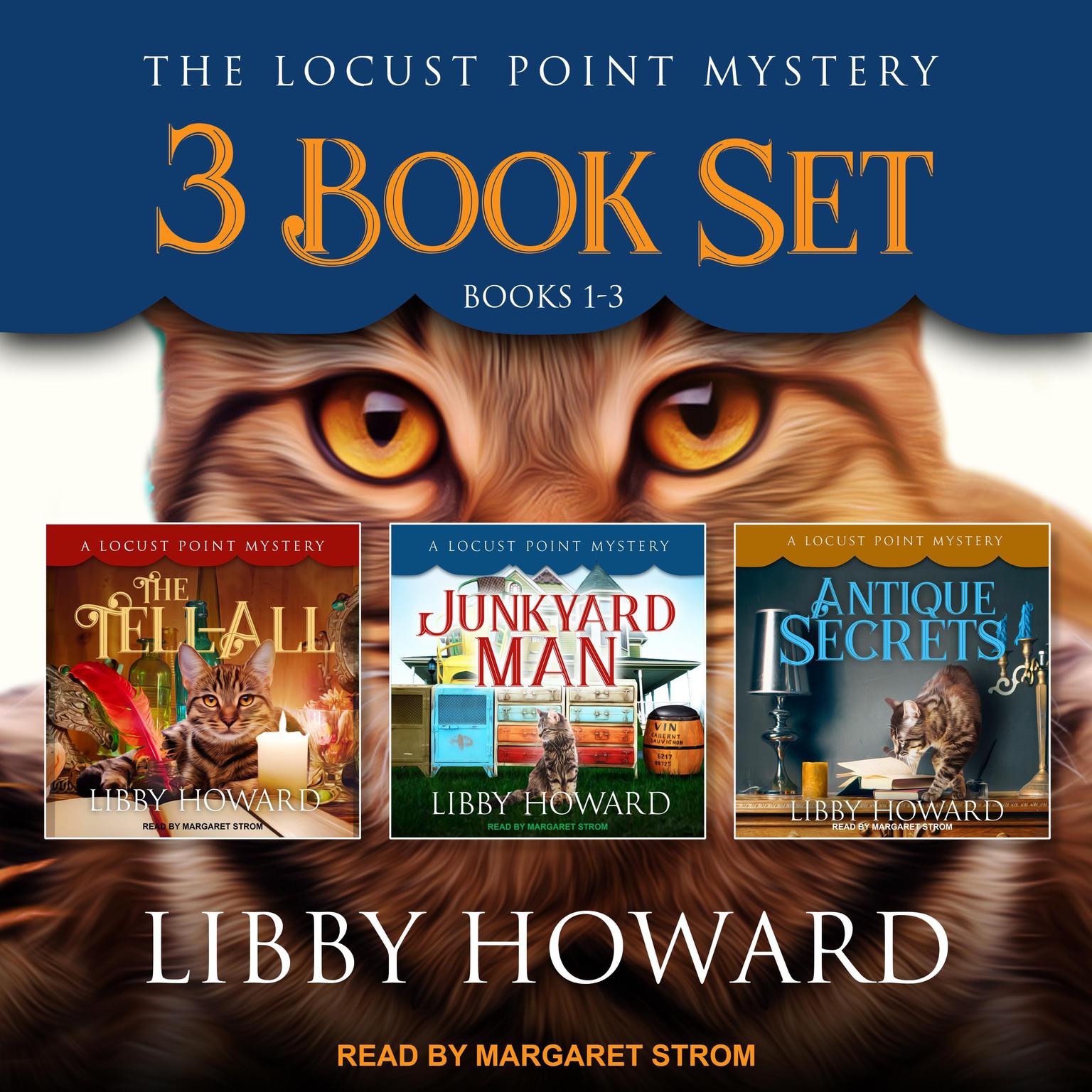 Locust Point Mystery 3 Book Set: Books 1-3 Audiobook, by Libby Howard
