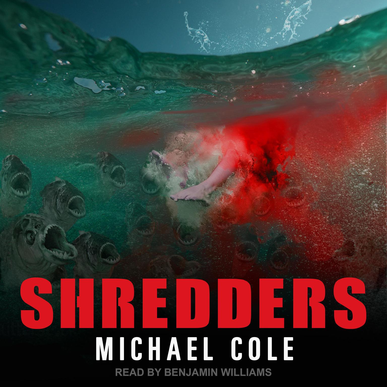 Shredders Audiobook, by Michael Cole