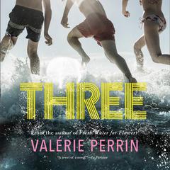 Three Audiobook, by Valérie Perrin