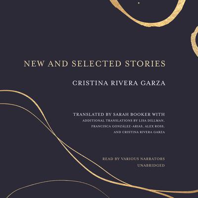 New and Selected Stories Audiobook, by Cristina Rivera Garza