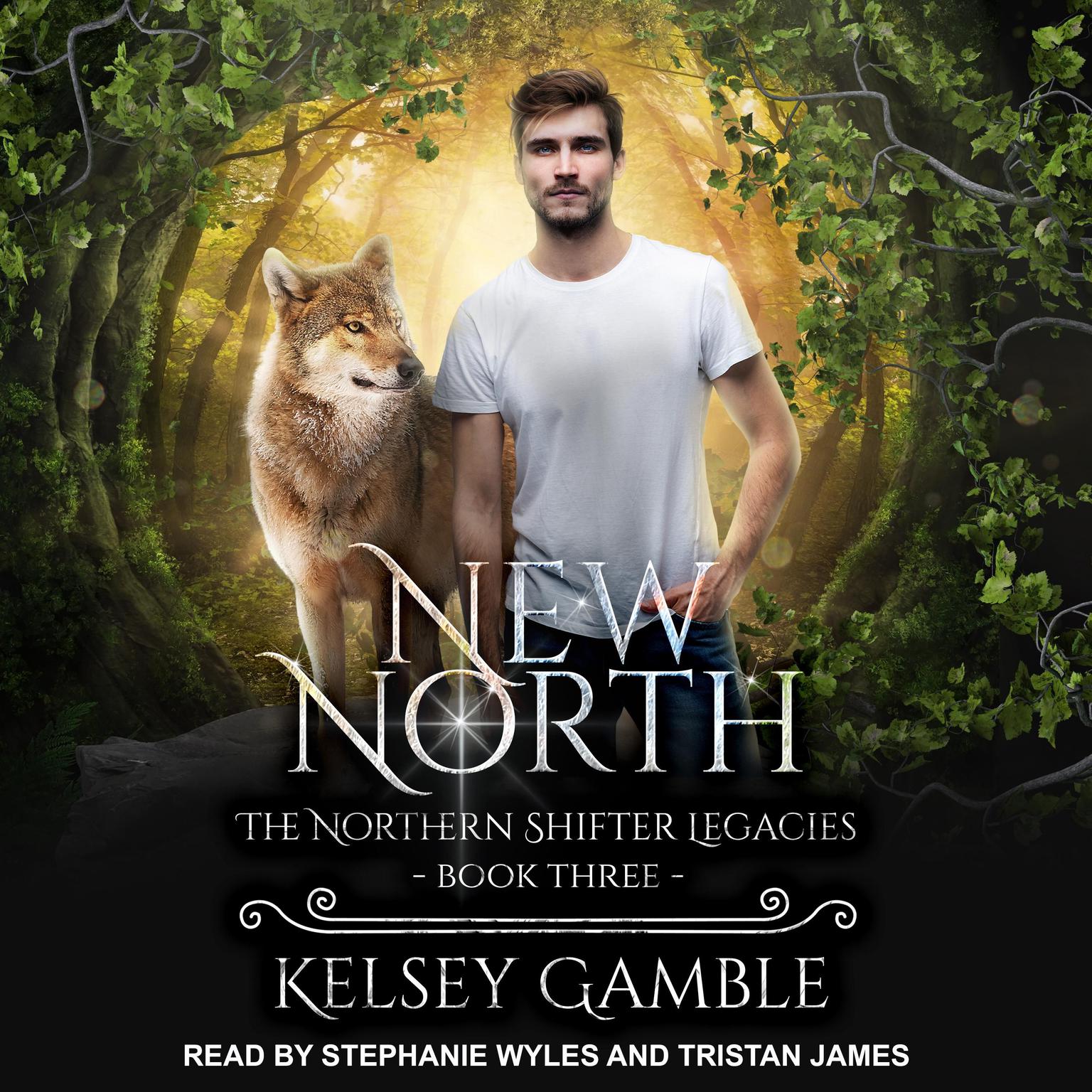 New North Audiobook, by Kelsey Gamble