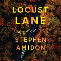 Locust Lane: A Novel Audiobook, by Stephen Amidon
