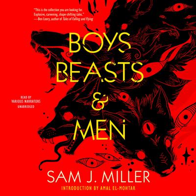 Boys, Beasts & Men Audiobook, by Sam J. Miller