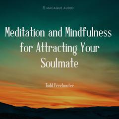 Meditation and Mindfulness for Attracting Your Soulmate Audiobook, by Todd Perelmuter