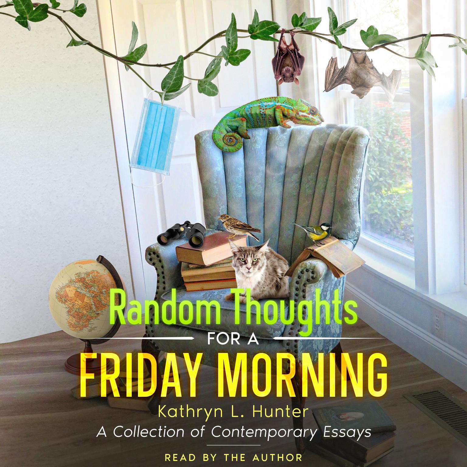 Random Thoughts for a Friday Morning: A Collection of Contemporary Essays Audiobook, by Kathryn L. Hunter