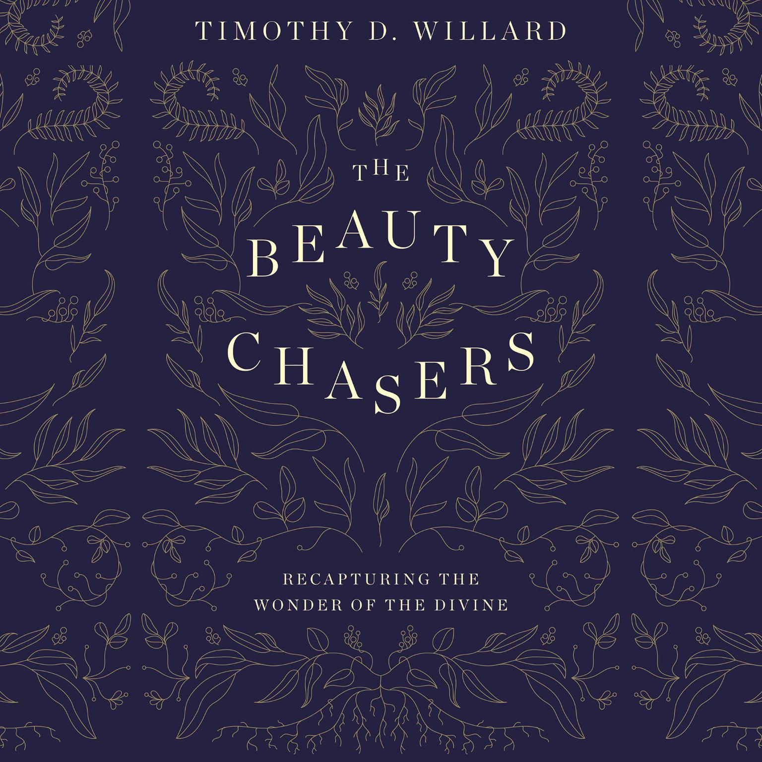The Beauty Chasers: Recapturing the Wonder of the Divine Audiobook, by Timothy D. Willard