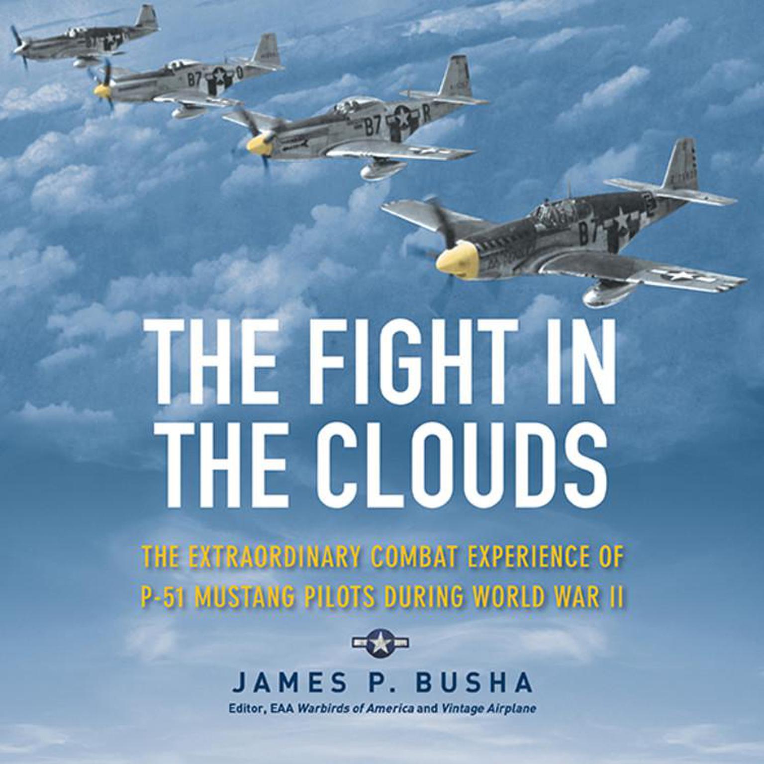 The Fight in the Clouds: The Extraordinary Combat Experience of P-51 Mustang Pilots During World War II Audiobook, by James P. Busha