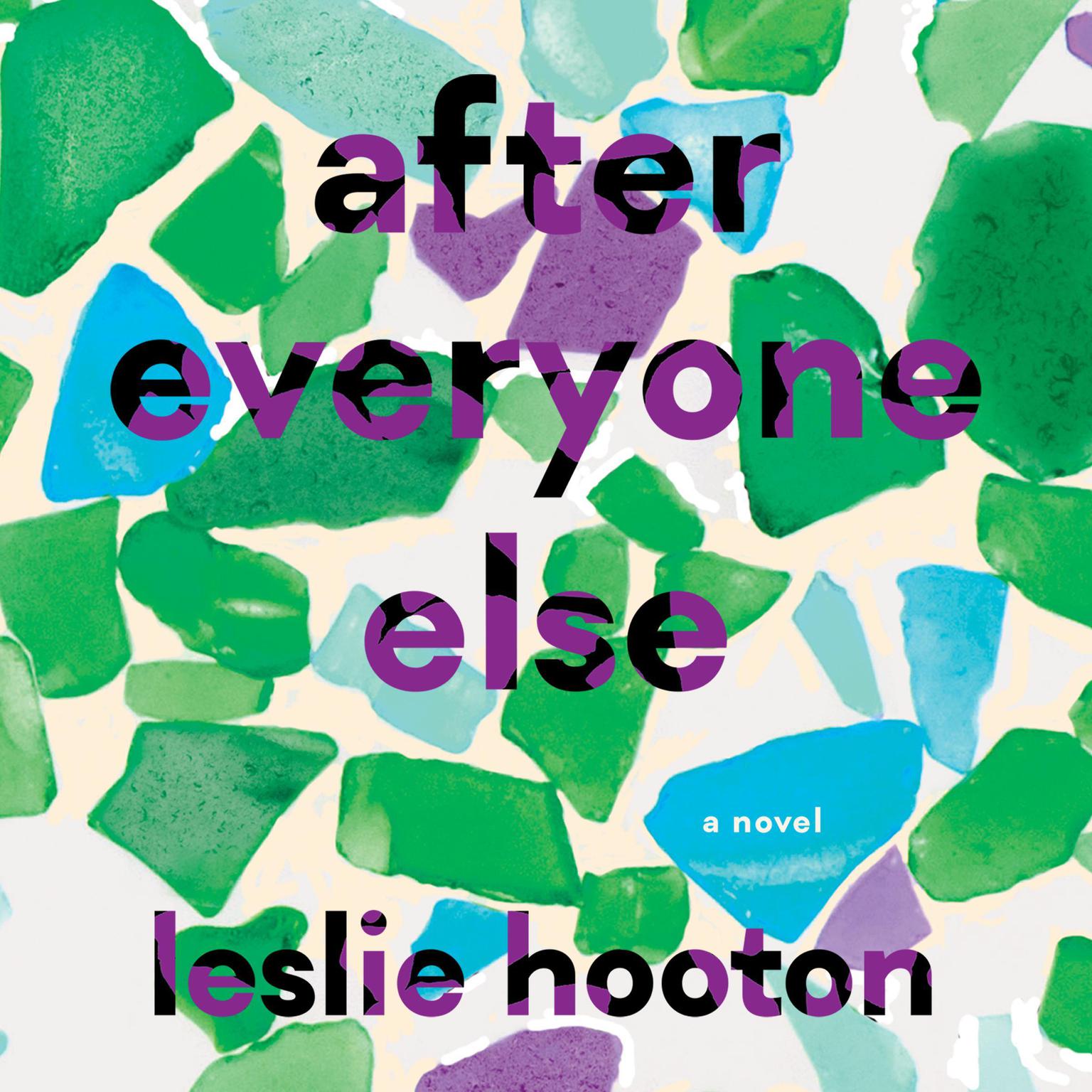 After Everyone Else Audiobook, by Leslie Hooton